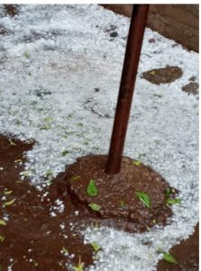 Read more about the article नाशिकमध्ये अचानक पावसाने नागरिकांची धावपळ…