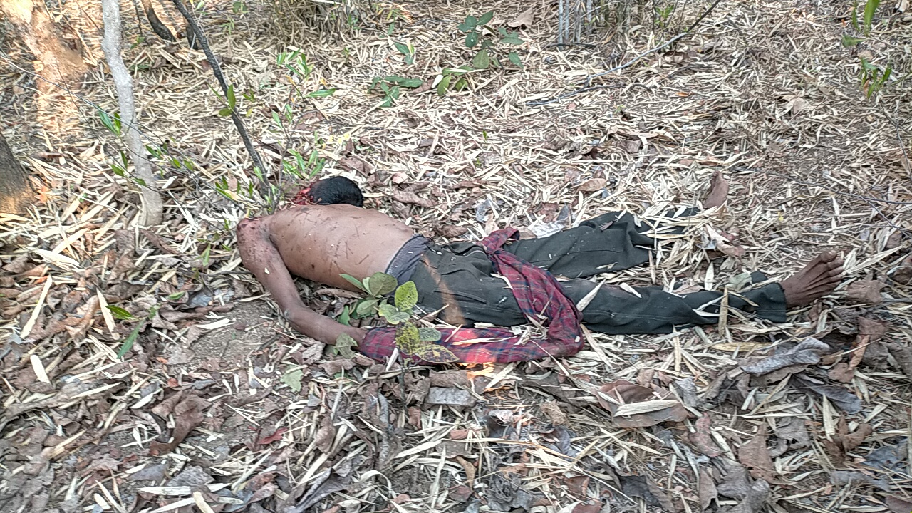 Read more about the article वाघाच्या हल्यात चेक आष्टा येथील इसम ठार,चिंतलधाबा बिटातील घटना