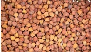 Read more about the article चणा खरेदीची मर्यादा वाढवा- बालाजी हेंद्रे