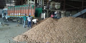 Read more about the article इंडिया मेगा ऍग्रो अनाज कंपनीने शेतकऱ्याच्या कच्या हळदीला दिला सोन्याचा भाव दिल्यामुळे जोरदार आवक वाढली —–