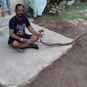 Read more about the article हजारो सापांना जीवदान देणारा हदगाव चा  अवलिया बबनराव भुसारे