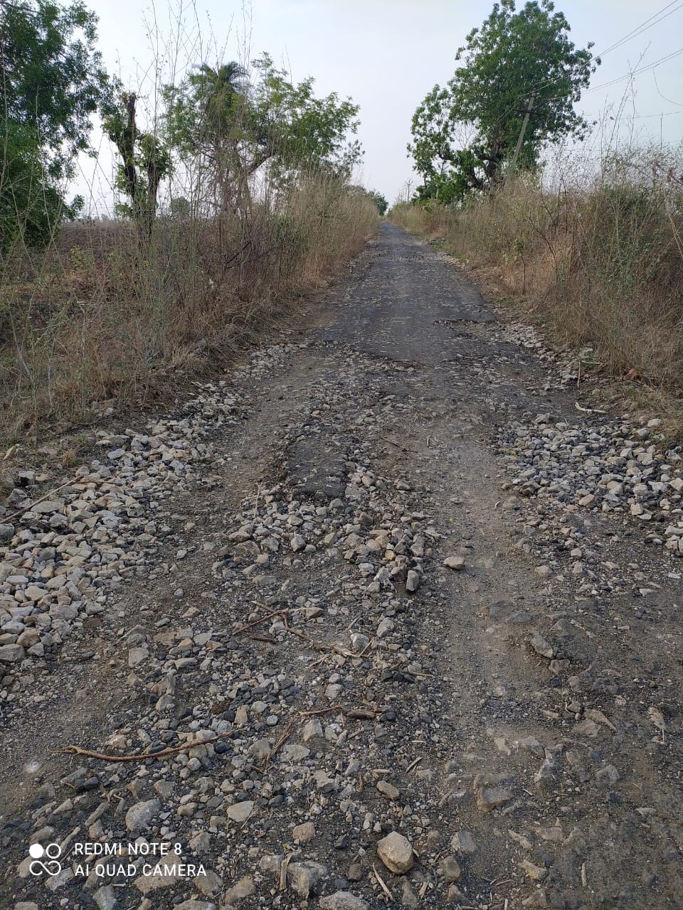 Read more about the article उखर्डा-नागरी रस्त्याची दयनीय अवस्था,लवकरात लवकर खड्डे बुजविण्यात आले नाहीतर अभिजित कुडे यांचा आंदोलन छेडण्याचा इशारा