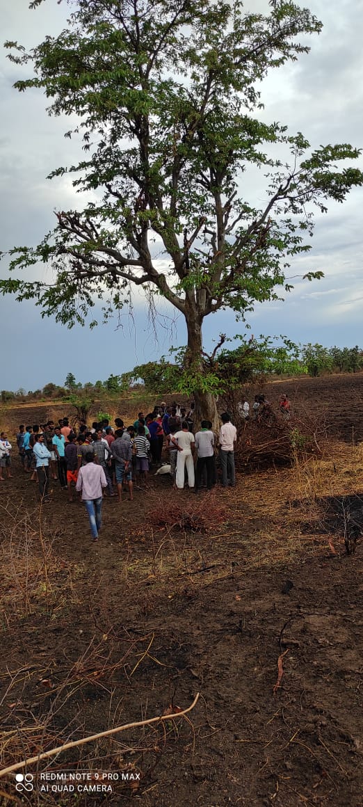 Read more about the article वरुड (ज) येथे वीज पडून सात बकऱ्या ठार