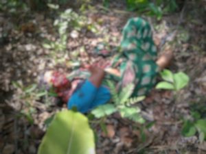 Read more about the article तेंदूपत्ता संकलनासाठी गेलेली महिला वाघाच्या हल्ल्यात ठार