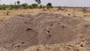 Read more about the article जप्त रेतीसाठ्याचा लिलाव कधी होणार ?; लिलावापूर्वी रेतीसाठे गायब होण्याची शक्यता पावसाळ्यापूर्वी रेती चोरी, साठेबाजी व वाहतुक करण्याच्या प्रकाराला ऊत