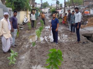 Read more about the article स्थानिक प्रशासनाला व लोकप्रतिनिधीला जाग येण्यासाठी रोडवर लावले बेशरम चे झाडे