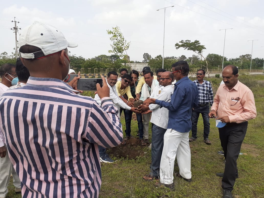 Read more about the article राळेगांव तालुका पत्रकार संघटनेच्या वतीने वृक्षारोपण