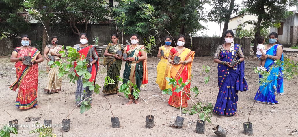 Read more about the article वटपोर्णिमेचे औचित्य साधून मनसे पदाधिकाऱ्यांकडून वृक्षारोपन