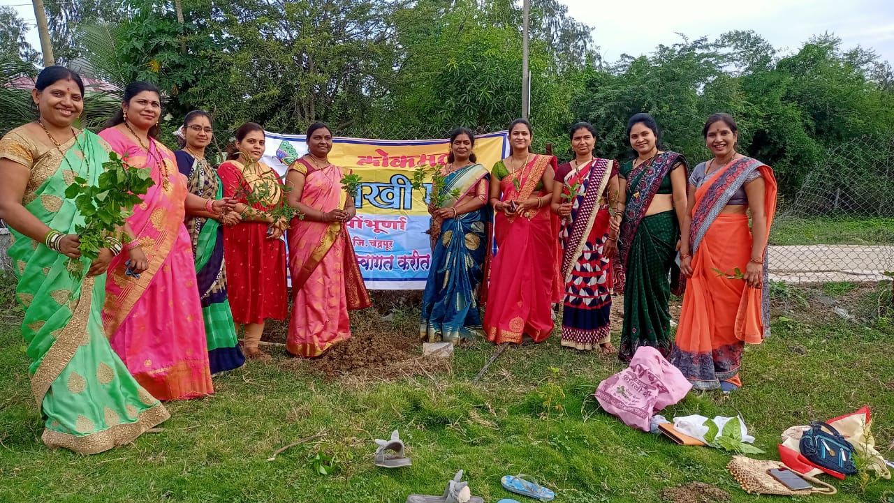 Read more about the article वटपोर्णिमेचे औचित्य साधून लोकमत सखीमंच पोंभुर्णा तर्फ वृक्षारोपन