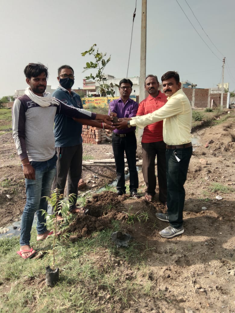 Read more about the article ओबीसीवादी चळवळी च्या वर्धापनदिनी ,वणी,यवतमाळ ओबीसीवादी चळवळ च्या वतीने वृक्षारोपण करून वर्धापन दिन साजरा