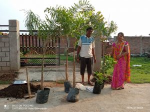 Read more about the article ओबीसीवादी चळवळी च्या वर्धापनदिनी रामटेक तालुका ओबीसीवादी चळवळ च्या वतीने वृक्षारोपण करून वर्धापन दिन साजरा