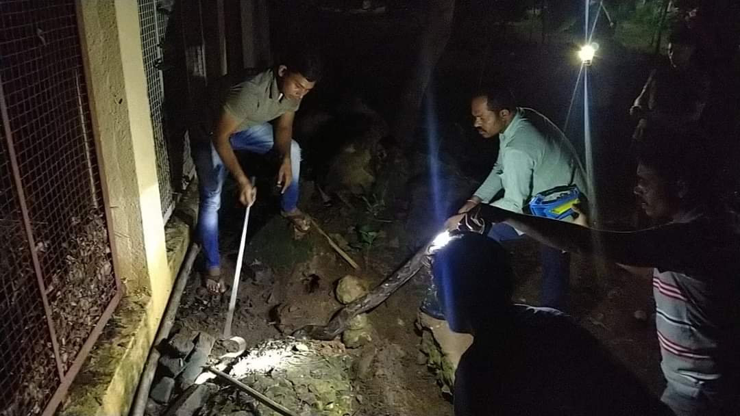 Read more about the article वन अकादमी वनाधिकारीच्या बंगल्याच्या आवारात निघाला अजगर ,इको प्रो च्या साहाय्यानेअजगराला जंगलात सोडले