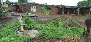 Read more about the article नांदेड जिल्ह्यातील हिमायतनगर शहरातील वार्ड क्रमांक 17 मधील बाराळी तांडा विकासापासून वंचित