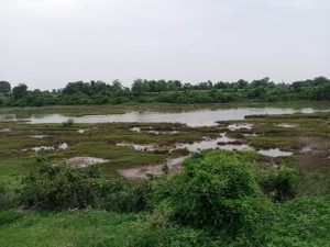 Read more about the article आजनसरा-रोहिणीला जोडणारा वर्धा नदिवरील पुलाला मंजुरात द्या :- भाविकांची मागणी