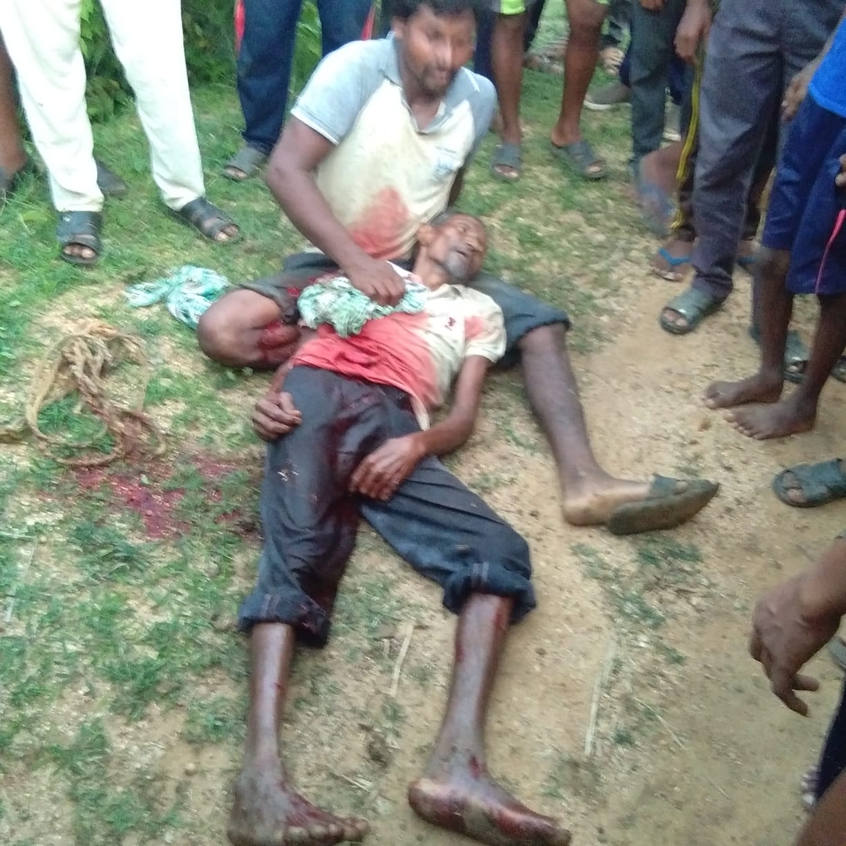 Read more about the article दबा धरून बसलेल्या वाघाचा हल्लाशेतकरी ठार ,शेतातून परतताना केला हल्ला