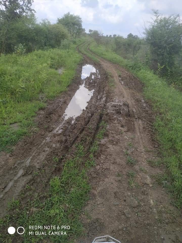 Read more about the article अवैध रेती वाहतूकीने कॅनाल रस्त्याची लागली वाट