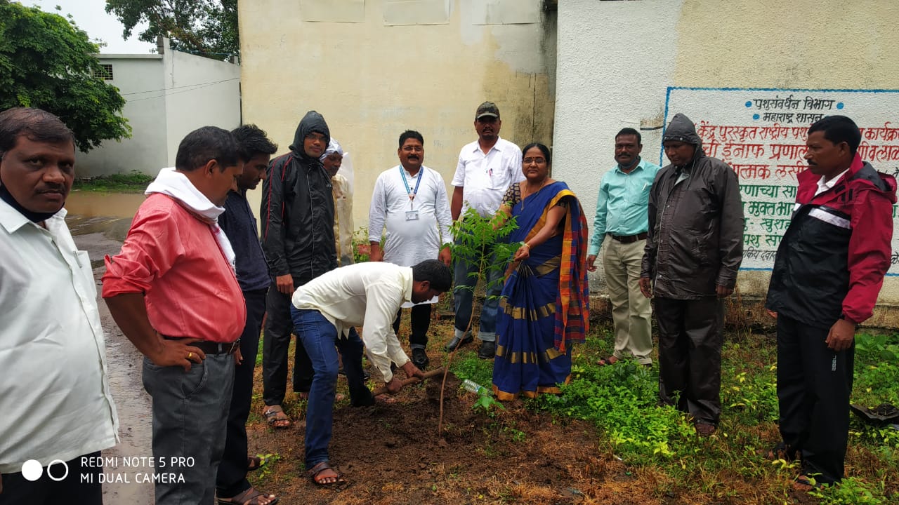 Read more about the article महाराष्ट्र राज्य प्राथमिक शिक्षक समिती चा 59 वा वर्धापन दिन वृक्षारोपण करून साजरा