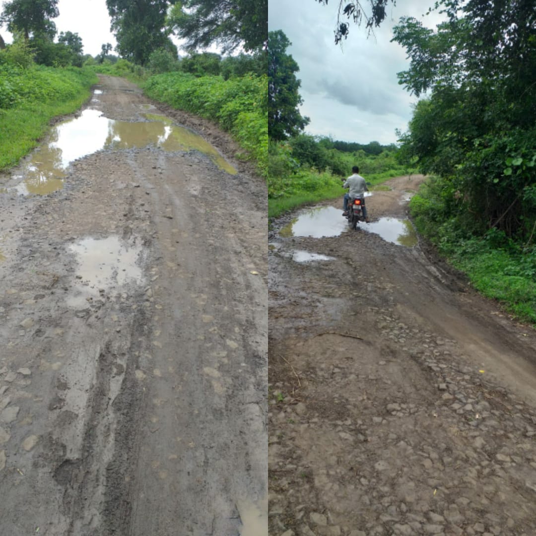 Read more about the article डोंगरगाव रस्त्याची दुर्दशा,रस्त्यात खड्डे की खड्ड्यात रस्ते