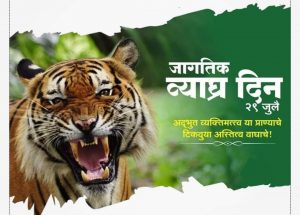 Read more about the article जागतिक व्याघ्र दिनाविशेष : चंद्रपूर जिल्ह्यात सर्वाधिक वाघ – राज्यात विदर्भ अव्वल