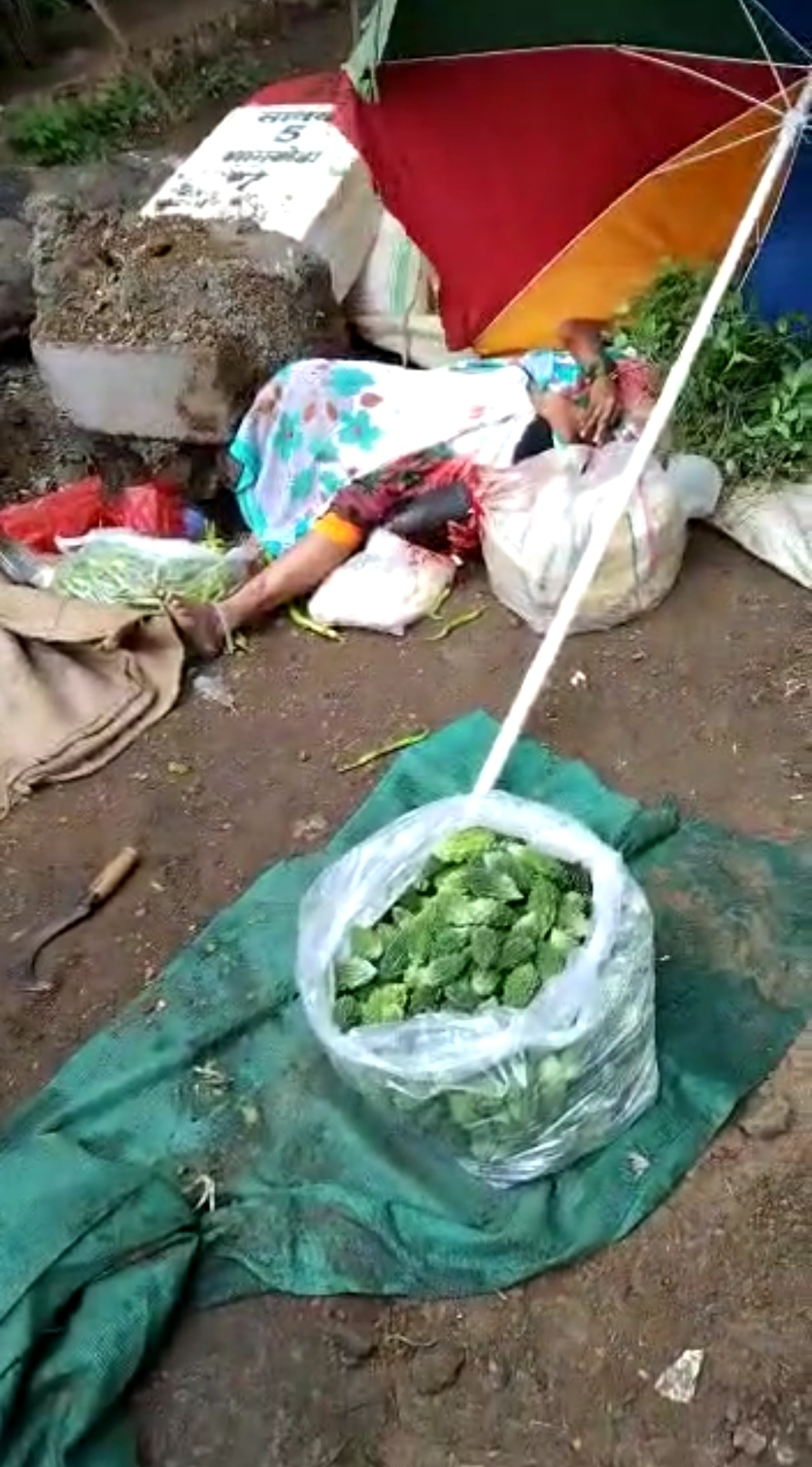 Read more about the article अपघात: भाजी विक्रेत्या महिलेच्या अंगावर गाडी चढविल्याने जागीच मृत्यू, चालक फरार