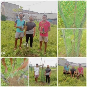 Read more about the article चिंचाळा येथे मित्रता दिन वृक्षारोपण करून साजरा