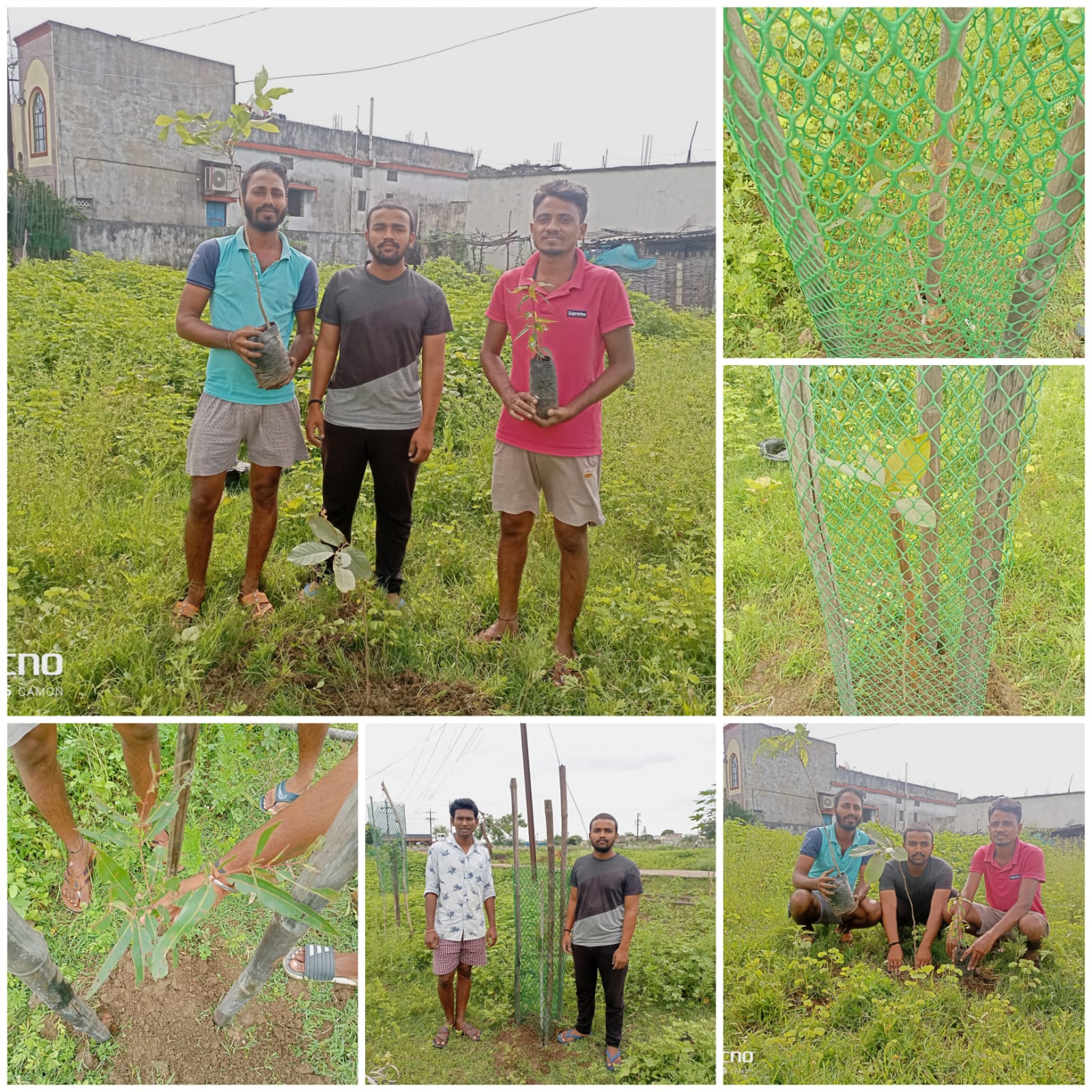 Read more about the article चिंचाळा येथे मित्रता दिन वृक्षारोपण करून साजरा