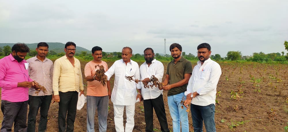 Read more about the article सॉर्टर किटनाशक औषधी फवारणी केल्याने शेतकऱ्याला बसला लाखोचा फटका,माजी आ.राजू तिमांडे यांनी दखल घेत शेतात येऊन केली पाहणी