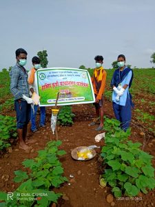 Read more about the article कृषी कन्येने केले बोंड अळी प्रतिबंधक कामगंध सापळया बाबतचे मार्गदर्शन