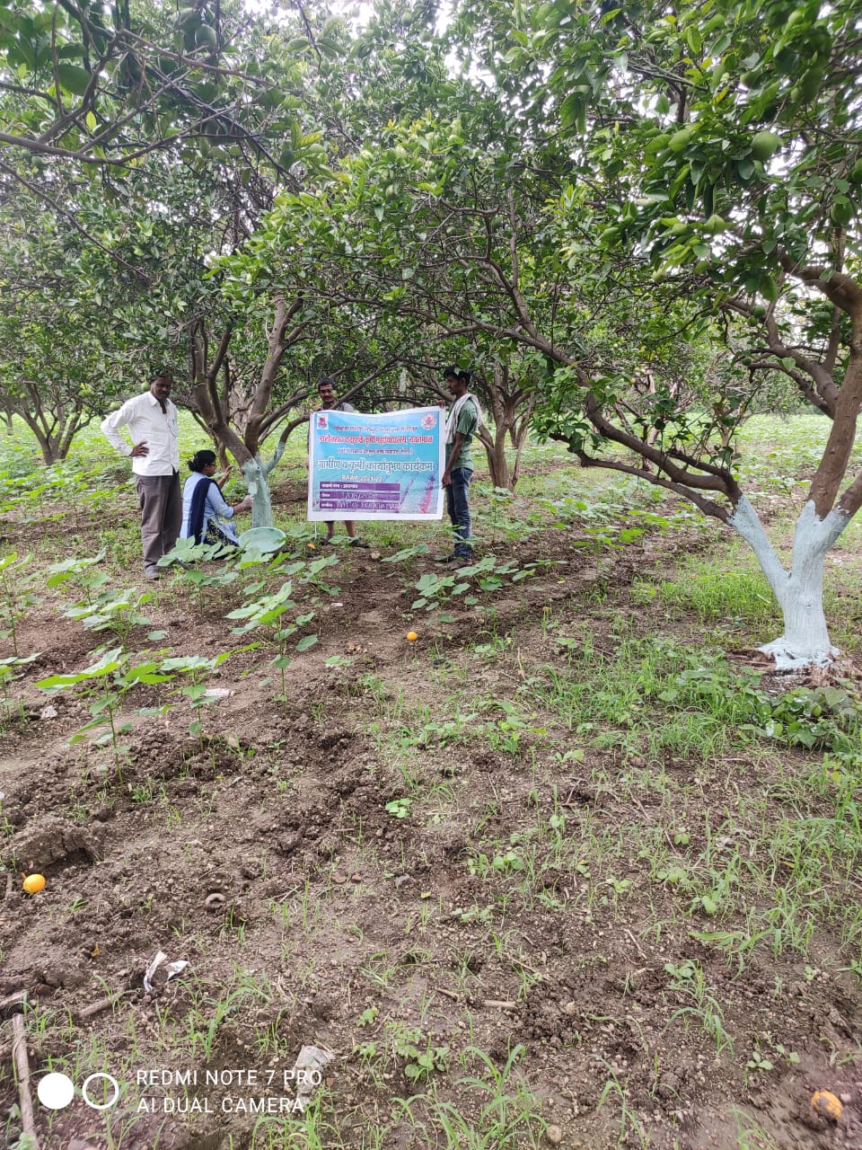 Read more about the article कृषी कार्यानुभव कार्यक्रम संपन्न…