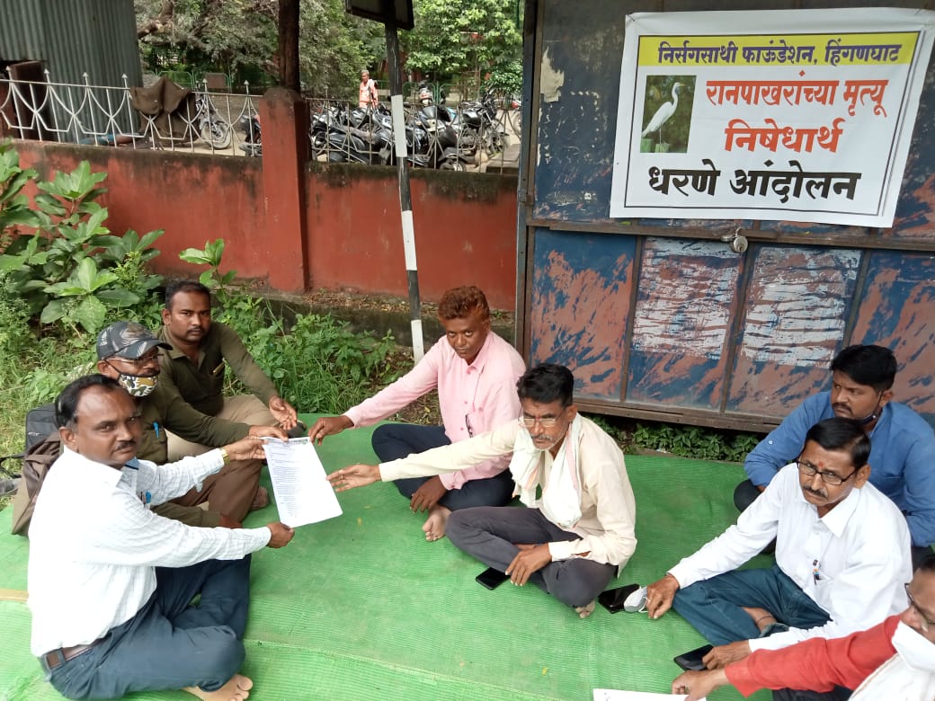 Read more about the article पक्षांचा अधिवास नष्ट केल्या प्रकरणी निसर्ग साथी चे एक दिवसीय धरणे आंदोलन..