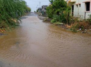 Read more about the article नंदुरबार जिल्ह्यात मुसळधार पाऊस, शेतकरी राजा सुखावला