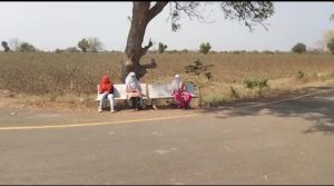 Read more about the article लाडकी स्टॉपवर प्रवाशी निवाऱ्याची ग्रामस्थांची मागणी प्रवाशांना घ्यावा लागतात झाडाचा आसरा