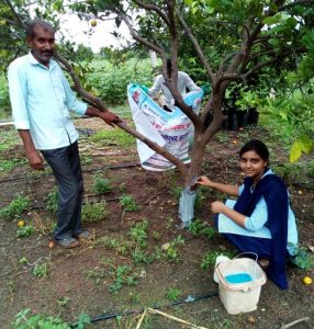 Read more about the article मारोतराव वादाफळे कृषी महाविदयालय, यवतमाळ येथील विदयार्थीनी साक्षी ज्ञानेश्वर थुटे हिने रावेरी येथील शेतकऱ्यांनाकेले मार्गदर्शन, बोर्डो मिश्रण  करते पिकांवरील रोग नियंत्रण