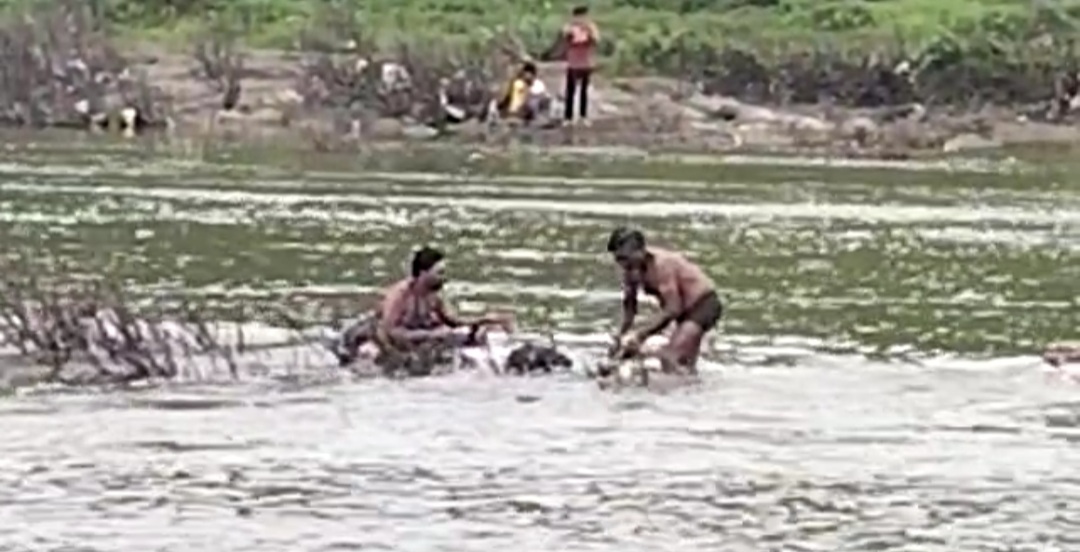 Read more about the article वर्धा नदीच्या पात्रात उडी घेऊन वडकी येथील नामांकित डॉ सुरेंद्र ठमके यांची आत्महत्या,परिसरात हळहळ