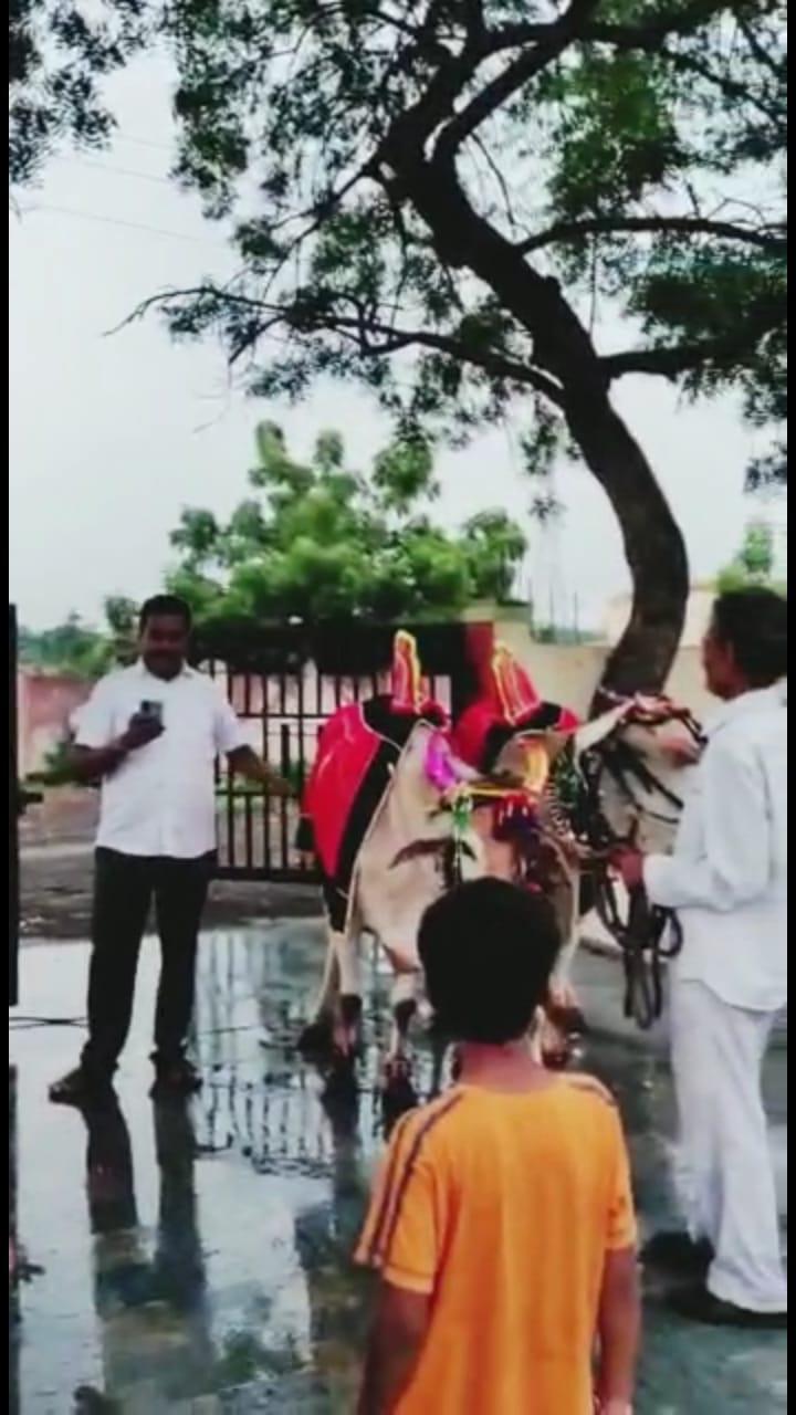 Read more about the article जनमानसात मिसळणारा तहसीलदार शेतकऱ्यांना भावला,तहसीलदार साहेब यांनी म्हटली झडती,सगळीकडे साहेबांचीच चर्चा