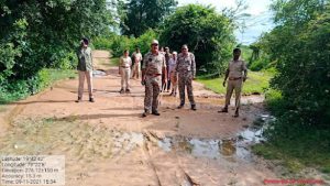 Read more about the article राजुरा वन परिक्षेत्रातील वनपरिक्षेत्रात वन अधिकाऱ्यांचे कोंबिंग ऑपरेशन