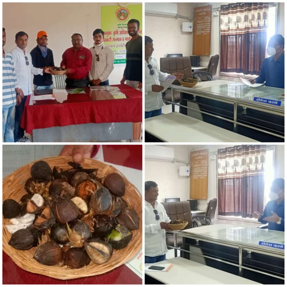 Read more about the article राळेगाव तालुका ओला दुष्काळग्रस्त जाहीर करून पिक विमा व इतर आर्थिक मदत द्या मनसे तालुकाध्यक्ष शंकर भाऊ वरघट यांच्या नेतृत्वात निवेदन