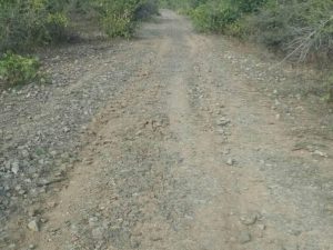 Read more about the article सुकनेगाव ते गोडगाव रस्त्याची दुरावस्था