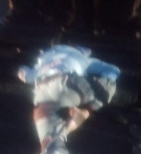 Read more about the article अपघात:  दुचाकींच्या धडकेत एक जागीच ठार तर तीन गंभीर जखमी. 