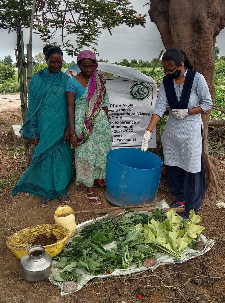 Read more about the article राळेगाव तालुक्यातील रावेरी येथे दशपर्णी अर्क तयार करण्याविषयी मार्गदर्शन