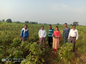 Read more about the article पिकविम्याचे क्लेम दाखल करावे:तहसीलदार रवींद्र कानडजे