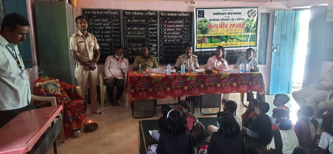 Read more about the article पांढरकवडा वन विभागामध्ये वडकी सर्कल अंतर्गत वनजीव सप्ताह साजरा