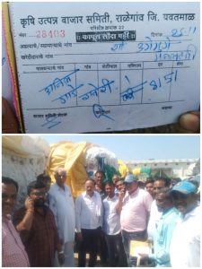 Read more about the article कापसाला मिळाला 8151 भाव,कृषी उत्पन्न बाजार समिती राळेगाव मध्ये लिलाव पद्धतीने कापसाच्या खरेदीचा वेळी शेतकऱ्यांना 8151/- रुपये भाव