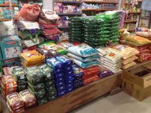 Read more about the article दिवाळीच्या तोंडावर जीवनावश्यक वस्तूंचे दर वाढले