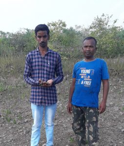 Read more about the article मुकुटबन मध्ये आढळला दुर्मिळ भारतीय अंडीखाऊ सर्प(Indian Egg Eater Snake)