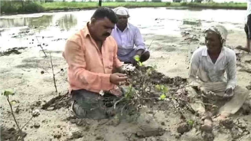 Read more about the article अतिवृष्टीग्रस्त|ना मदत नाहीच, वरून सुधारित आणेवारी 54 टक्के { जिल्ह्यातील पीकस्थिती उत्तम असल्याचा प्रशासनाचा जावाई शोध )