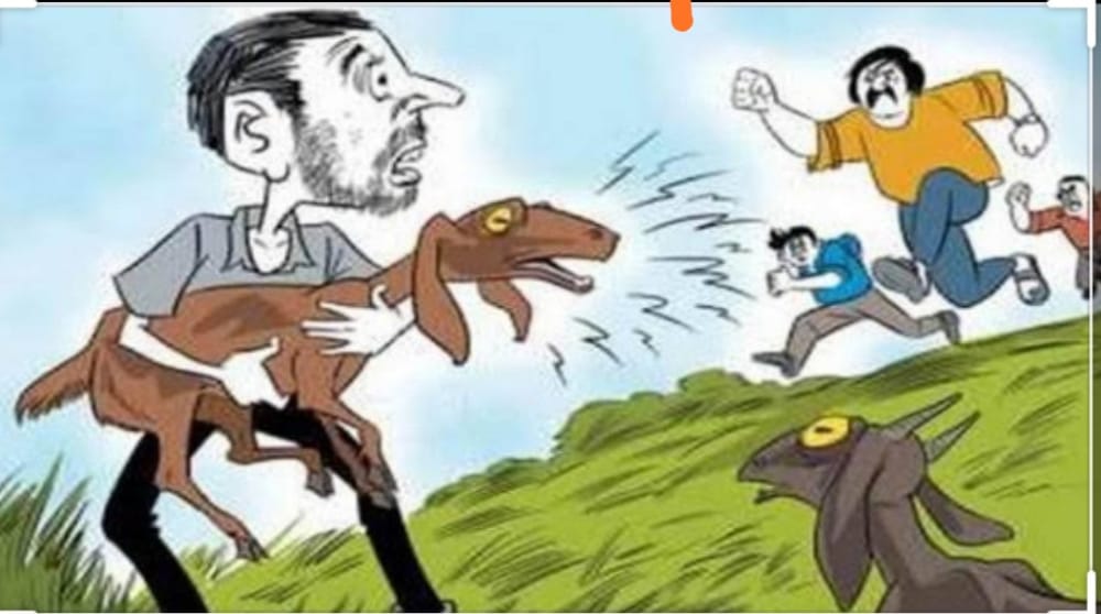 Read more about the article बोकड चोरणारे आरोपी पोलीसांच्या जाळ्यात,मोटर सायकल सह तीन आरोपींना अटक