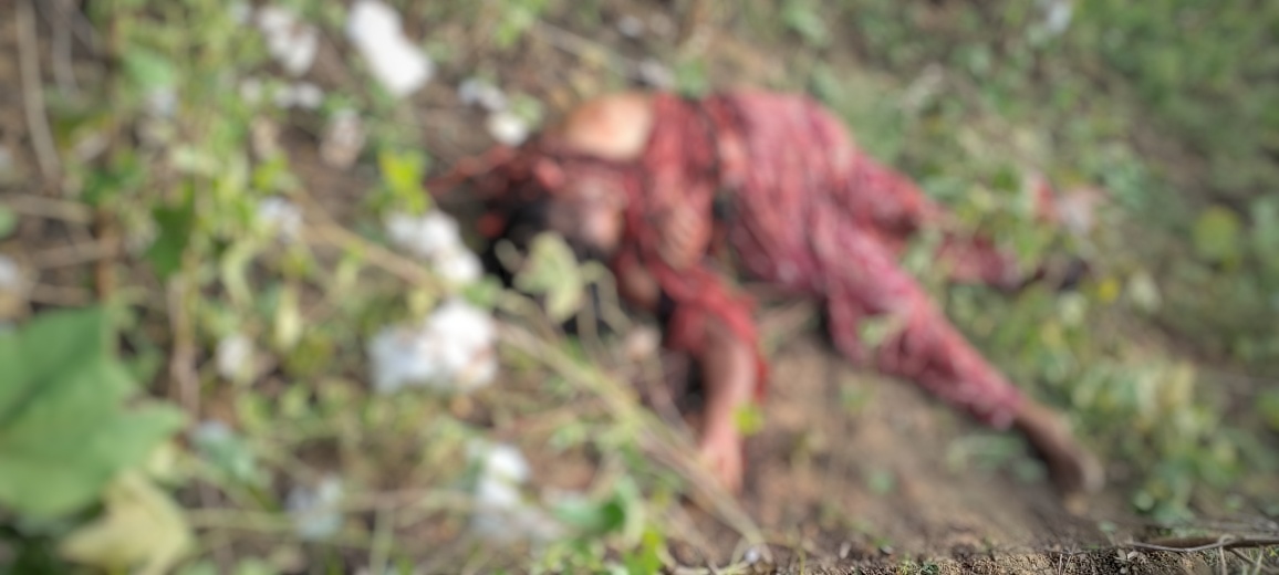 Read more about the article धक्कादायक: शेतात कापूस वेचायला गेलेल्या महिलेवर वाघाचा  हल्ला,महिला ठार