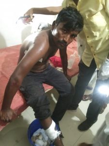 Read more about the article वाघाचा इसमावर प्राणघातक हल्ला सुदैवाने जीवीत हानी नाही,पोंभूर्णा तालूक्यात वाघाची दहशत