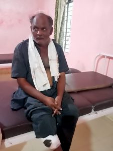 Read more about the article पोंभुर्णा तालुक्यात वाघाची दहशत कायम,कापुस वेचण्यासाठी गेलेल्या मजुरावर हल्ला